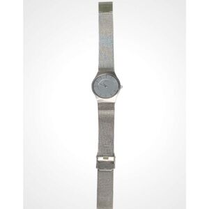 Skagen Denmark Stainless Steel Quartz Silver Mesh Watch